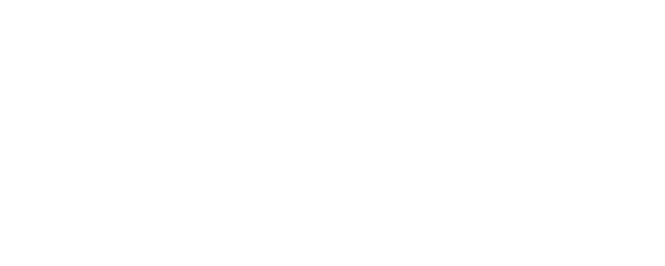 Logo Podem VNG